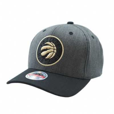 Process Snapback Toronto Raptors Dark Grey Snapback - Fri frakt