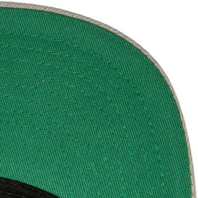 Branded Dynasty Fitted Branded Cap- Mitchell & Ness